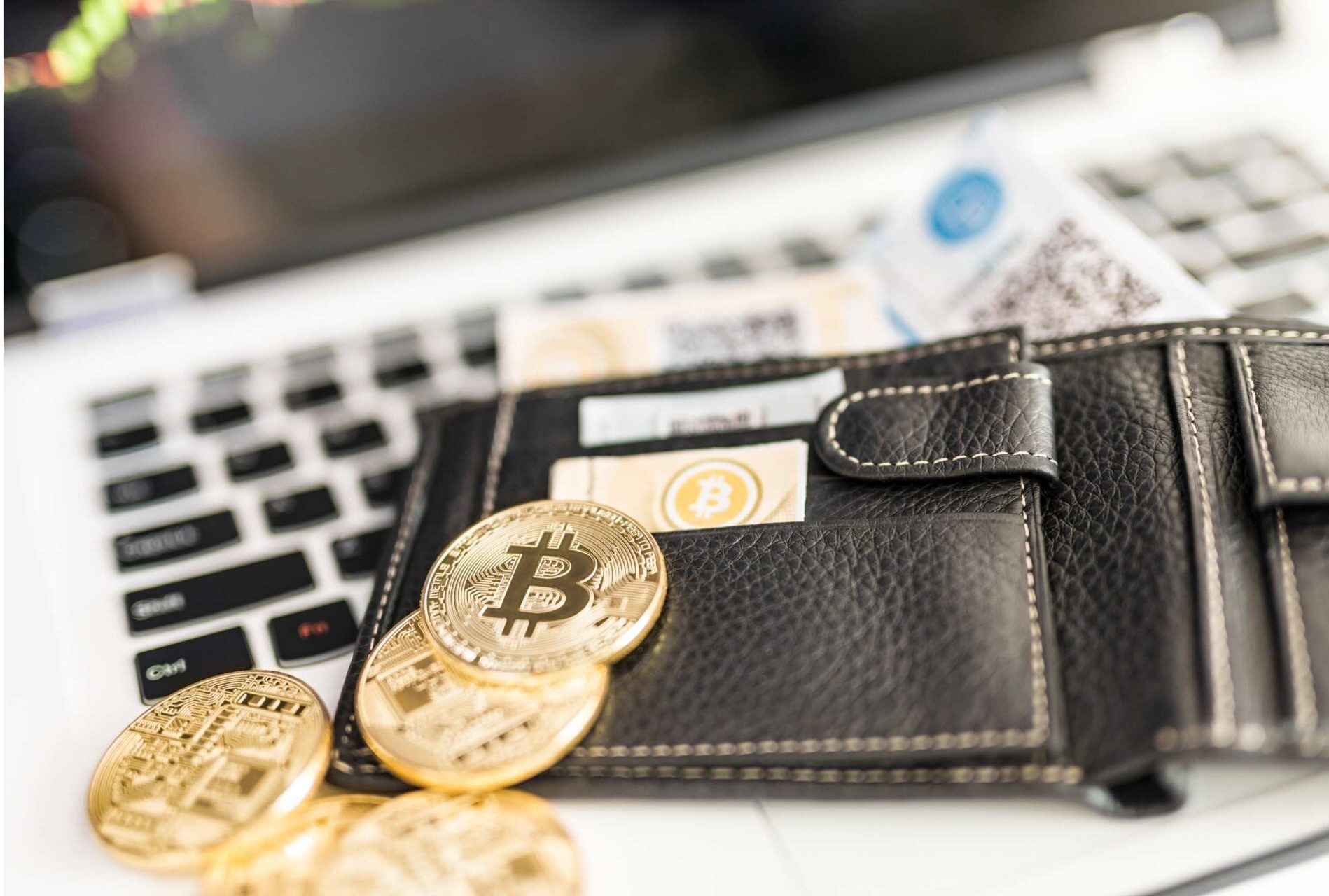 5 Best Wallets to Use in 2024 for Storing Your Cryptocurrency